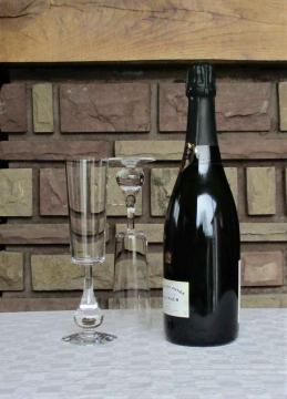 Flute jose cristal de baccarat occasion
