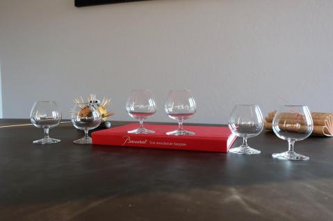 Baccarat verres liqueur degustation