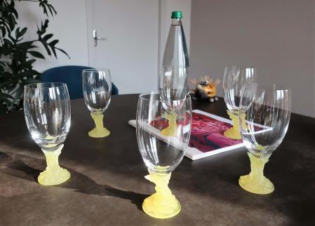 Daum crystal france glasses mimosa pattern