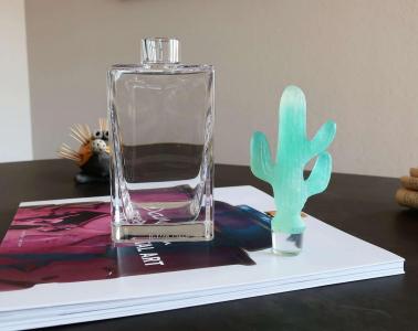 Pate de cristal cactus flacon carre