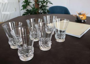 Sorcy service verres daum occasion