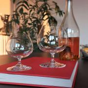 Verres perfection baccarat cognac liqueur