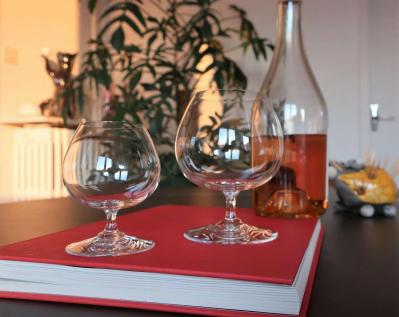 Verres perfection baccarat cognac liqueur